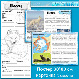 Песец: мини-комплект для организации познавательной деятельности