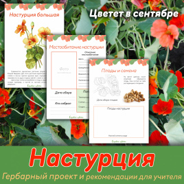 Проект "Декоративные растения: Настурция"