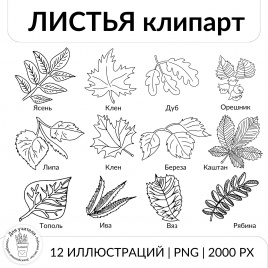 Листья. Клипарт для оформления рабочих листов