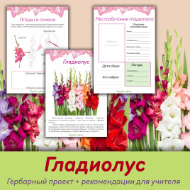 Проект "Декоративные растения: Гладиолус"