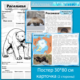 Росомаха: мини-комплект для организации познавательной деятельности