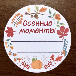 Комплект материалов для содержательных каникул "Осенние моменты"