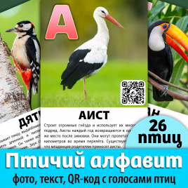 Карточки "Птичий алфавит". Многообразие