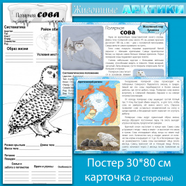 Полярная сова: мини-комплект для организации познавательной деятельности