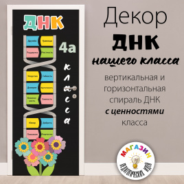 Декор "ДНК класса"