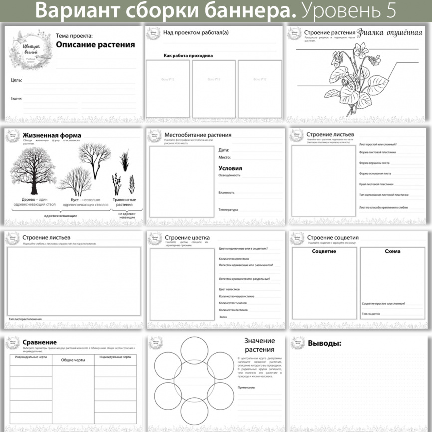 Исследовательский проект "Цветут весной" фото 7