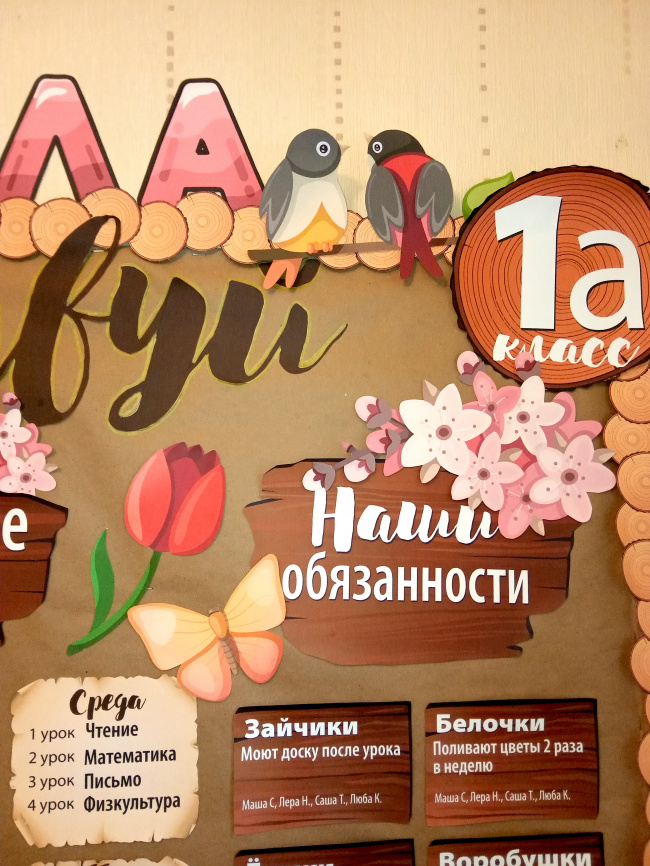 Комплект для оформления пробковых досок "Лесная школа" фото 6