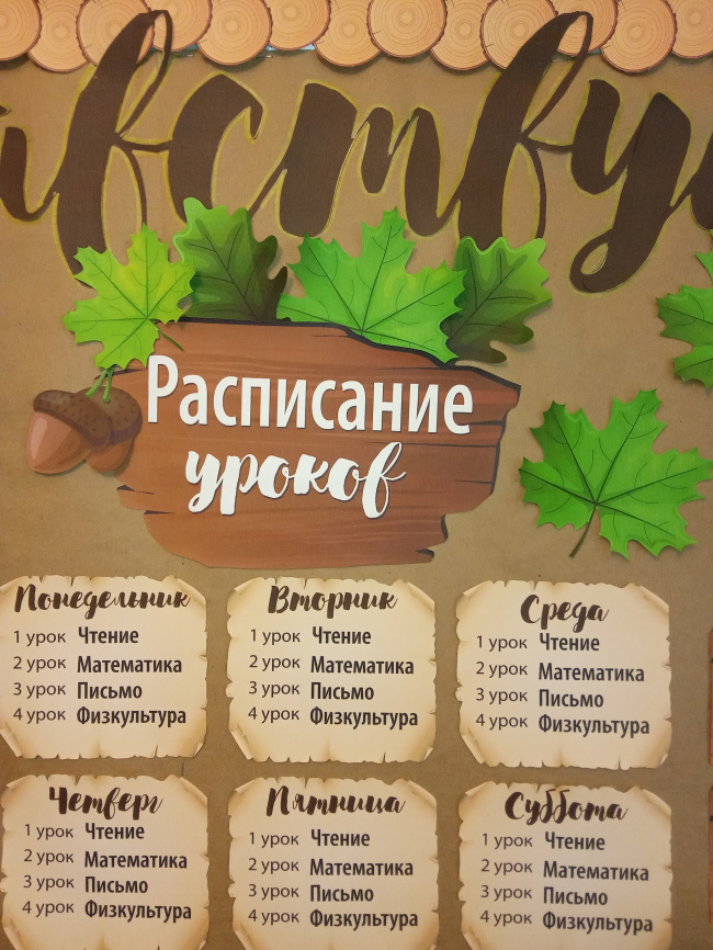 Комплект для оформления пробковых досок "Лесная школа" фото 10