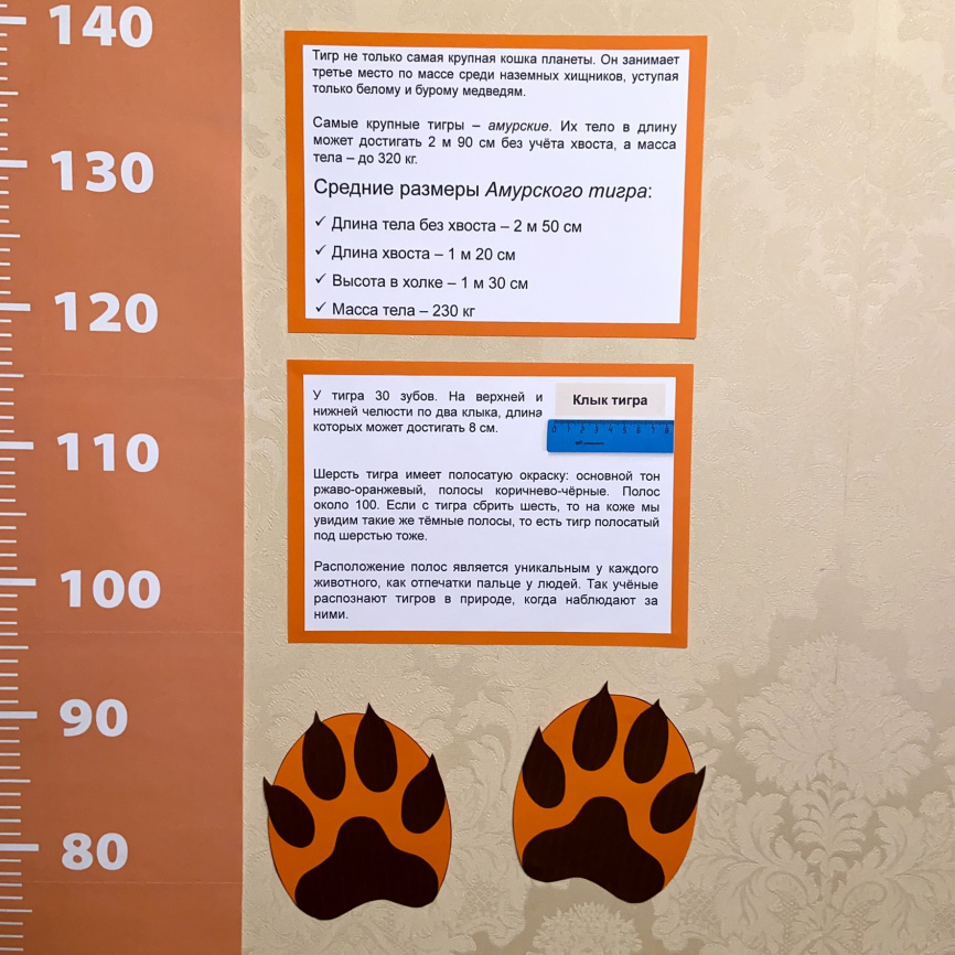 ТИГРОМЕР фото 6