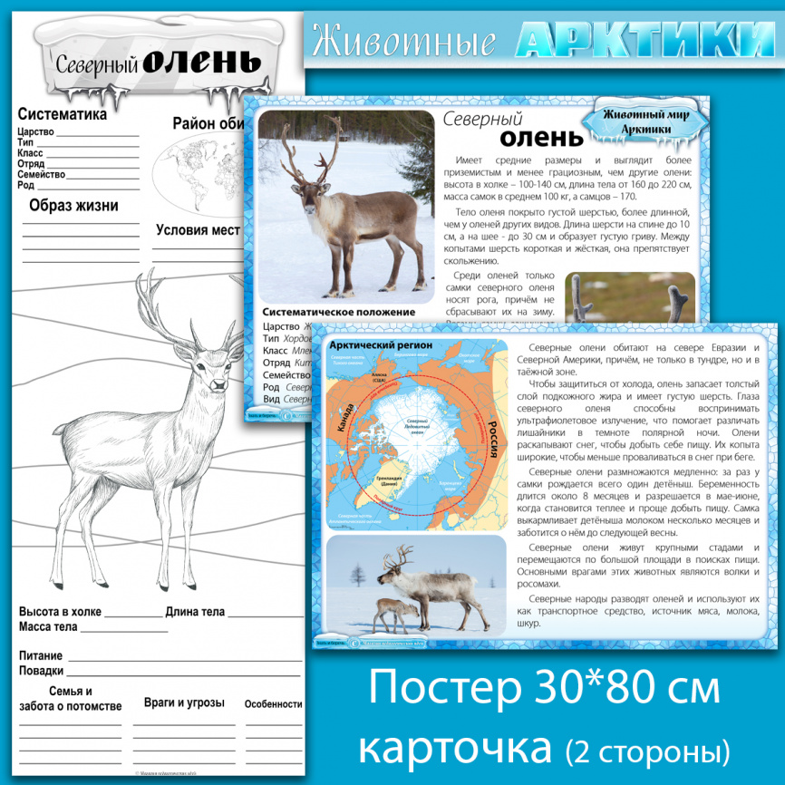 Комплект материалов "Животные Арктики" фото 12