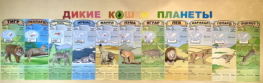 В полный рост "Дикие кошки планеты"_постеры для коллективной работы фото 3