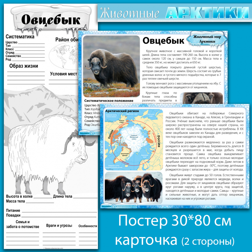 Комплект материалов "Животные Арктики" фото 11