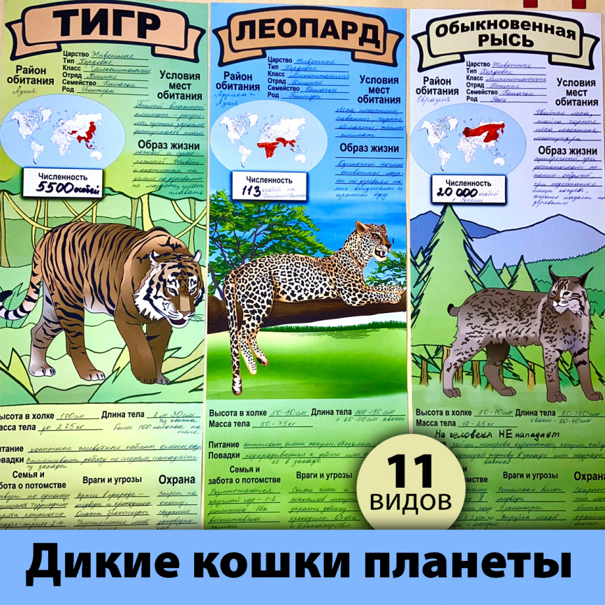 В полный рост "Дикие кошки планеты"_постеры для коллективной работы фото 1