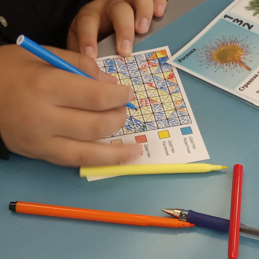 Проверяемая безударная гласная в корне. Проявляющаяся картинка фото 8