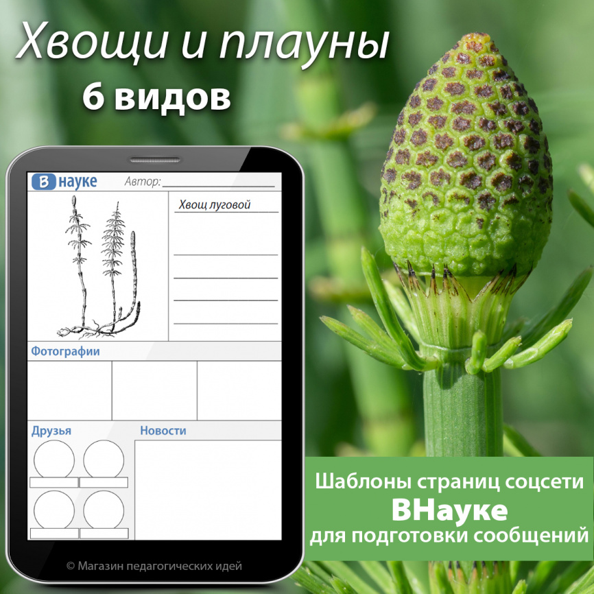 Шаблоны страниц соцсетей для подготовки сообщений: Хвощи и плауны фото 1