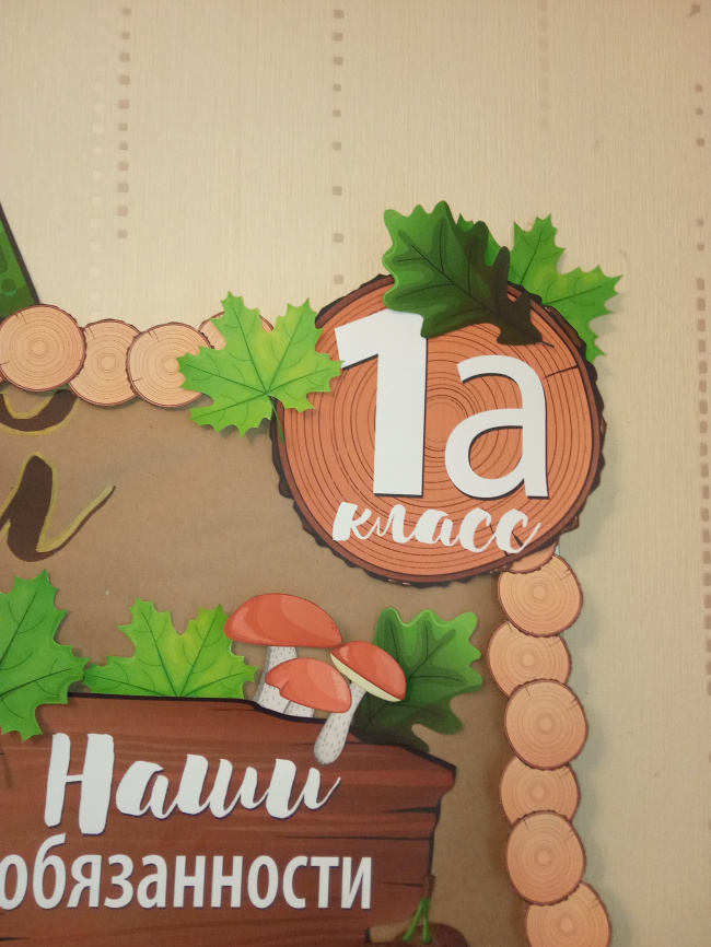 Комплект для оформления пробковых досок "Лесная школа" фото 12