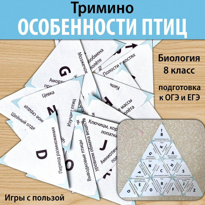 Тримино "Особенности птиц" фото 1