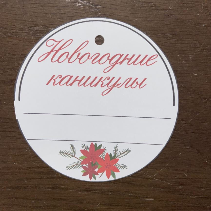 Комплект материалов для содержательных каникул "Волшебство новогодних праздников" фото 5