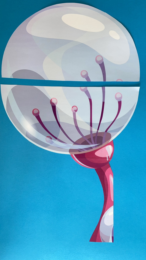 Комплект "Другие миры": Декор + Игра + Дипломы + обертки для шоколада фото 16