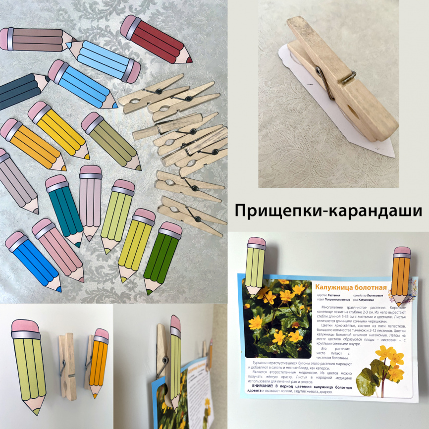 Карандаши для оформления класса. Нейтральные природные цвета фото 5