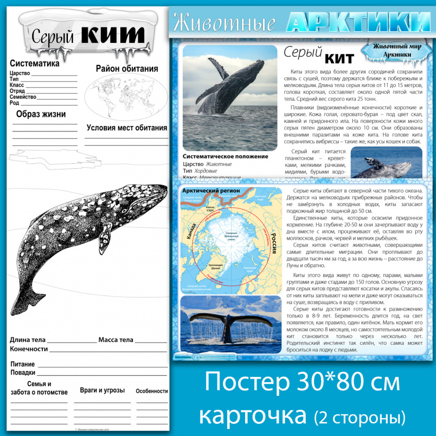 Комплект материалов "Животные Арктики" фото 6