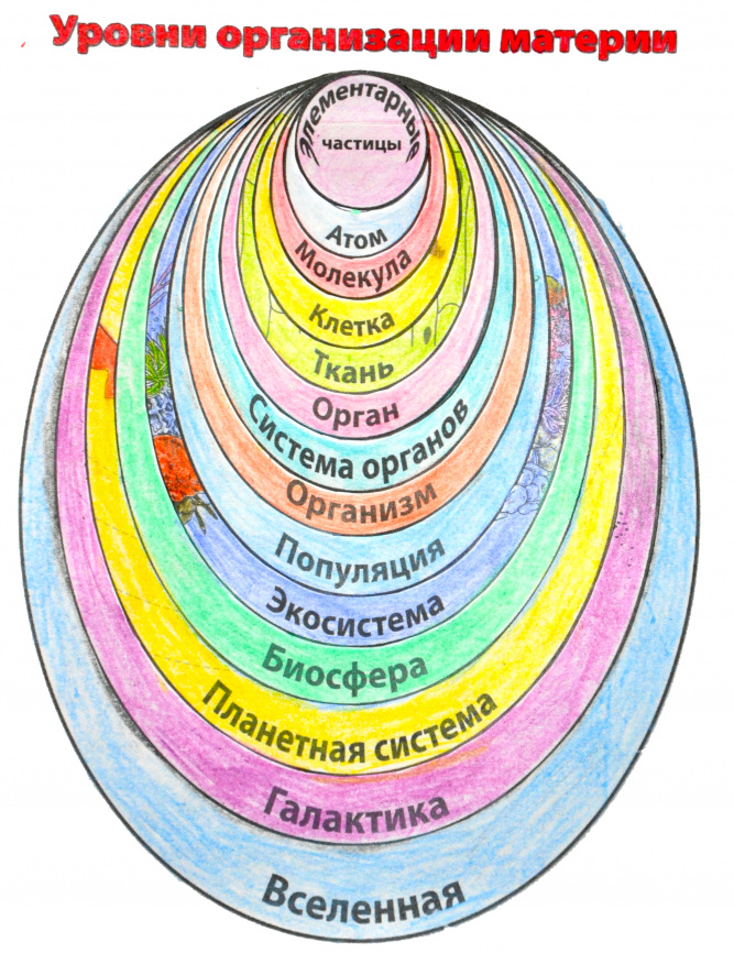Уровни организации материи: интерактивные заметки фото 2