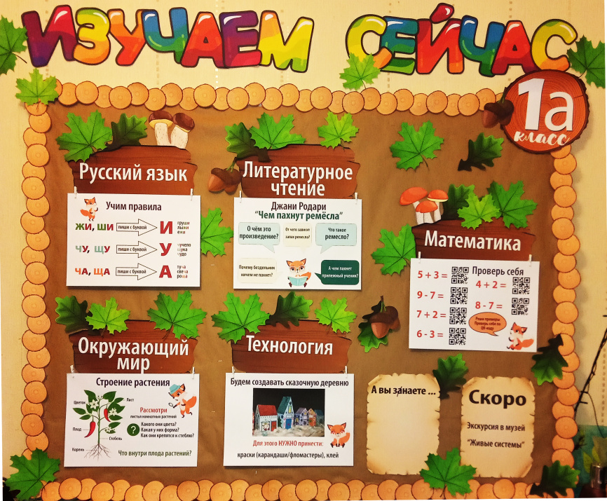 Комплект для оформления пробковых досок "Лесная школа" фото 4