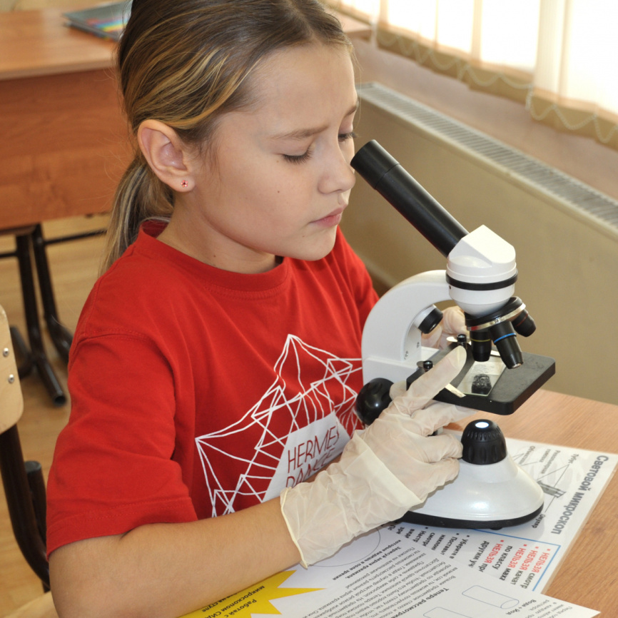 Мини-исследование "Содержание крахмала в биологических объектах" фото 4