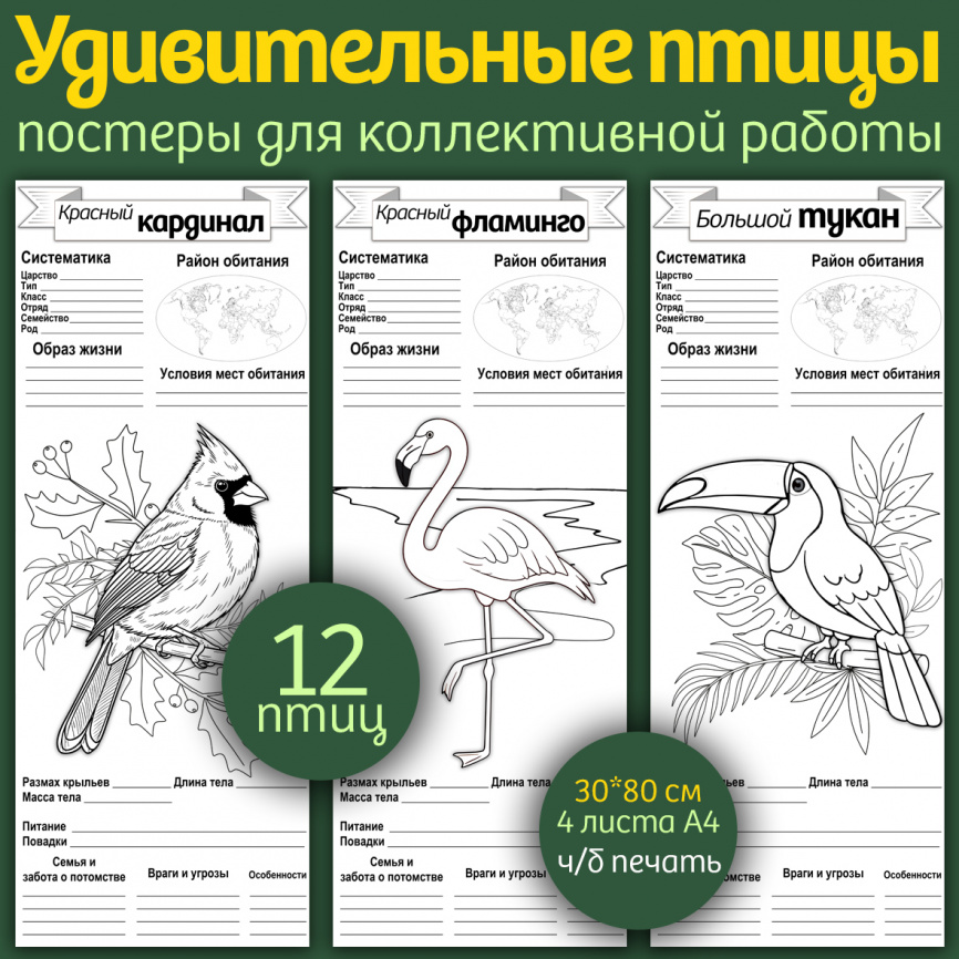 Постеры для коллективной работы "Удивительные птицы" фото 1