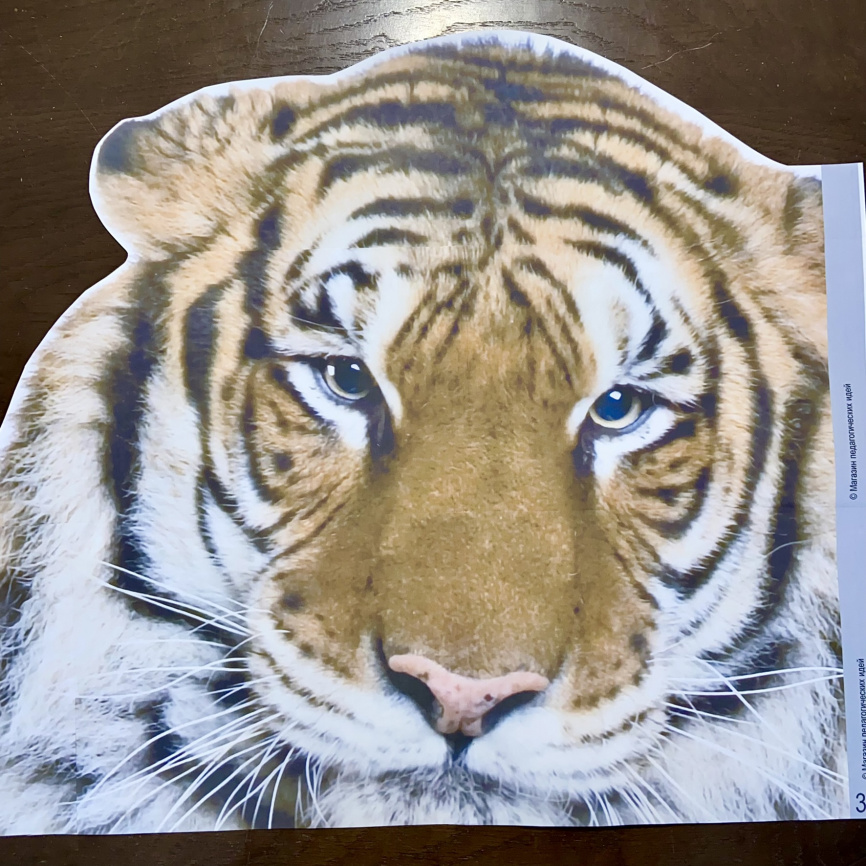 ТИГРОМЕР фото 3