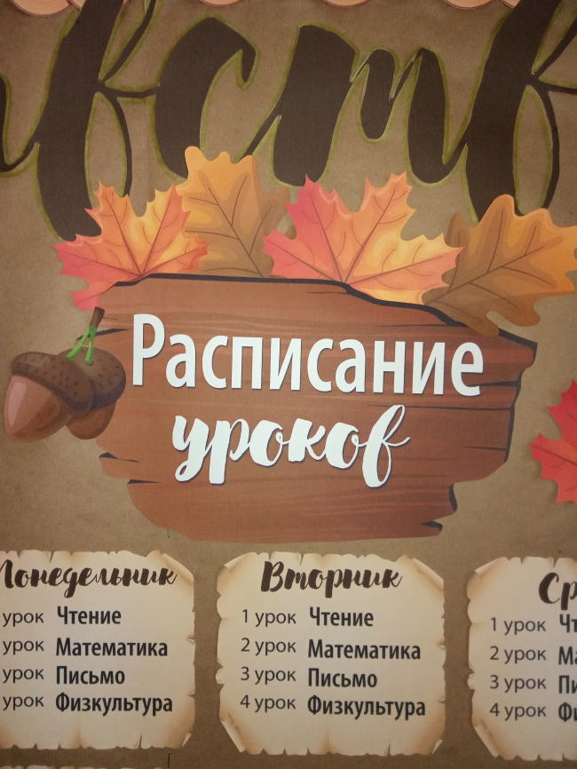 Комплект для оформления пробковых досок "Лесная школа" фото 14