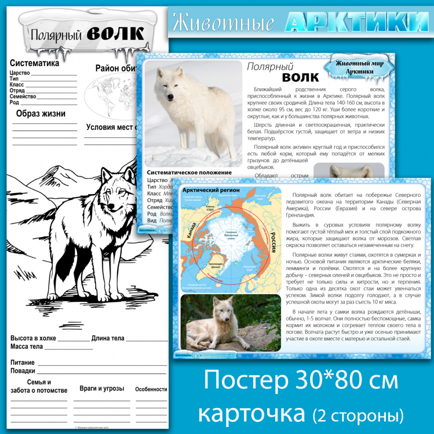 Полярный волк: мини-комплект для организации познавательной деятельности фото 1