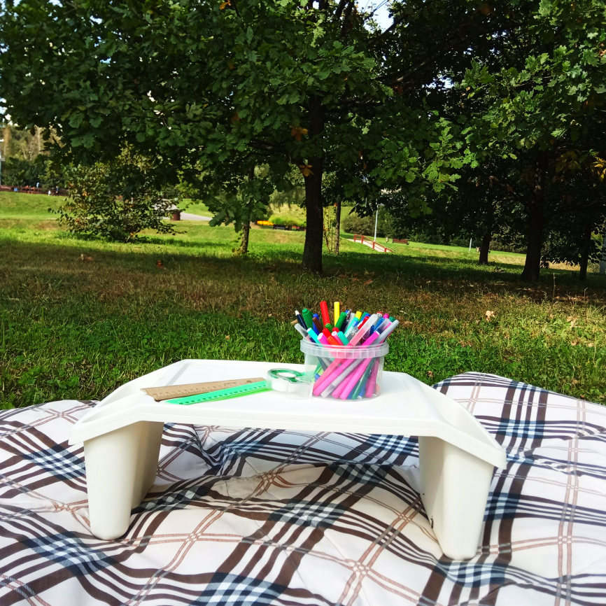 Проект "Декоративные растения: Календула" фото 3