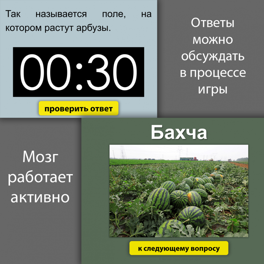Арбузник: внеклассное мероприятие "под ключ" фото 12