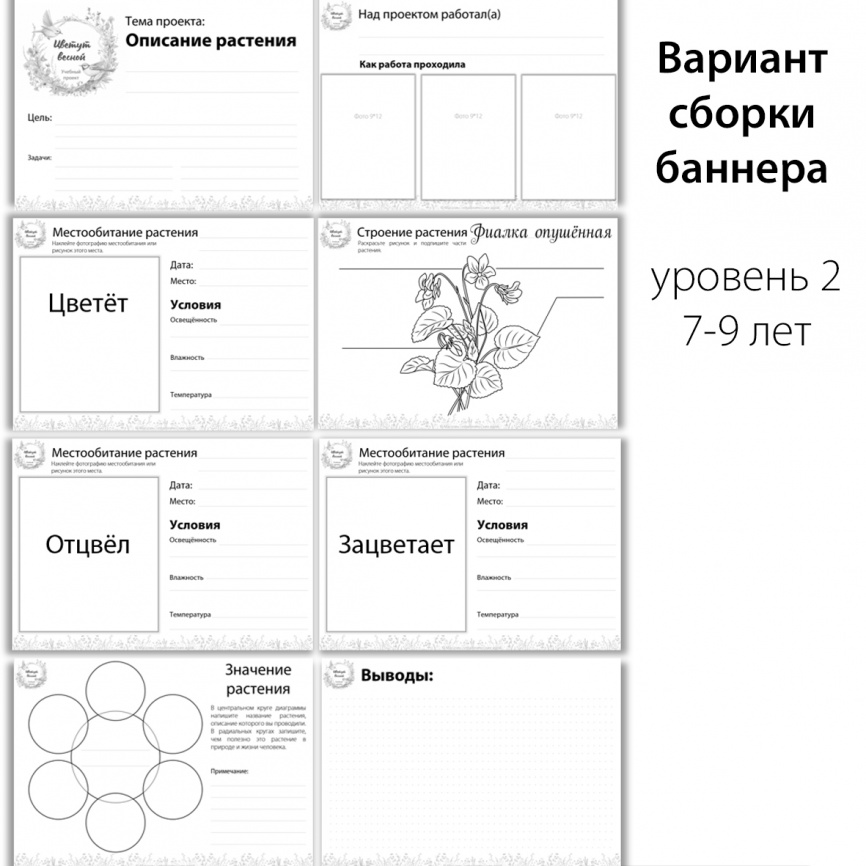 Исследовательский проект "Цветут весной" фото 6